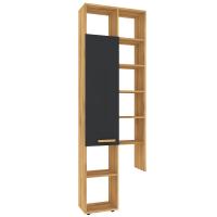 Crown 22 (гостиная) Шкаф МЦН (01) (Дуб золотистый/Графит)