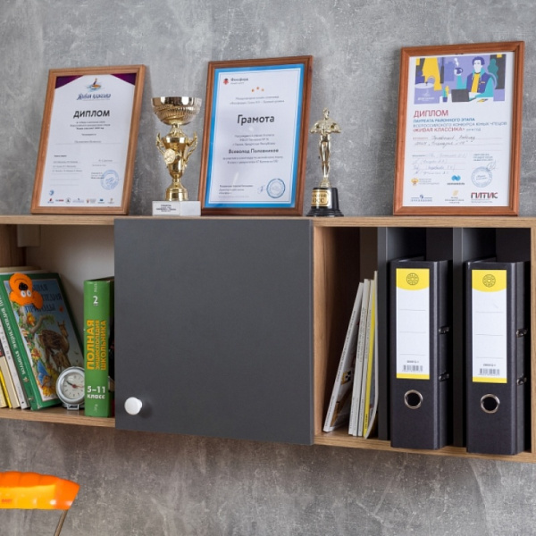 ЛОЙС 88  Шкаф навесной(02 Дуб золотистый/Графит)/Глазов